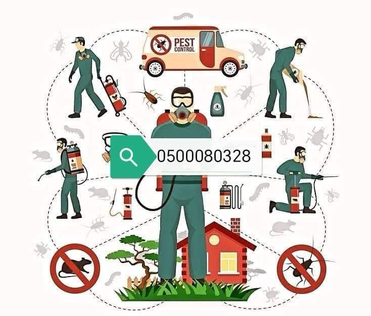 مكافحة حشرات مكه