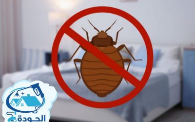 شركة مكافحة الصراصير بمكة