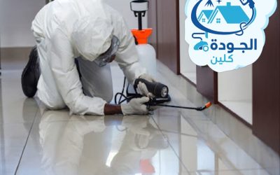 شركة مكافحة النمل بمكة
