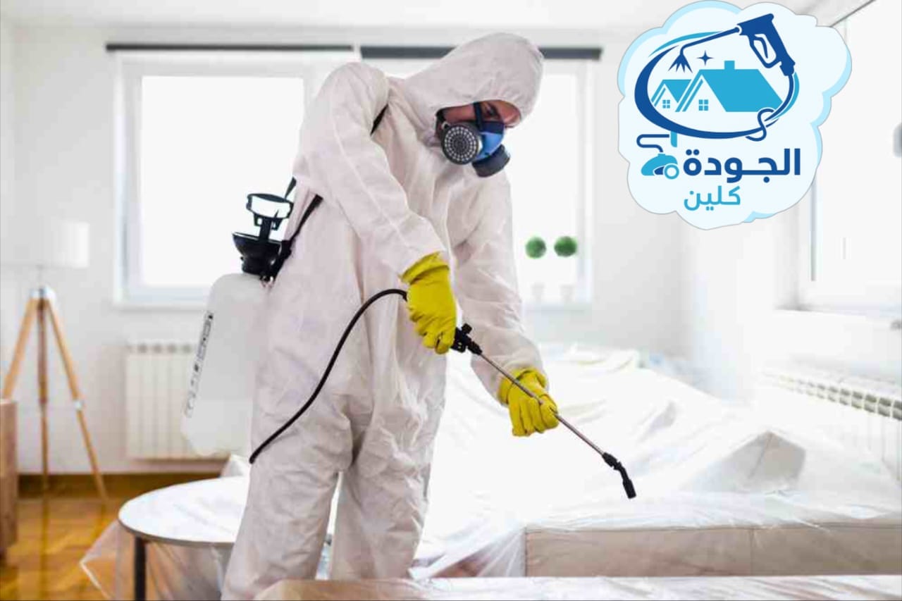 شركة مكافحة حشرات بمكة