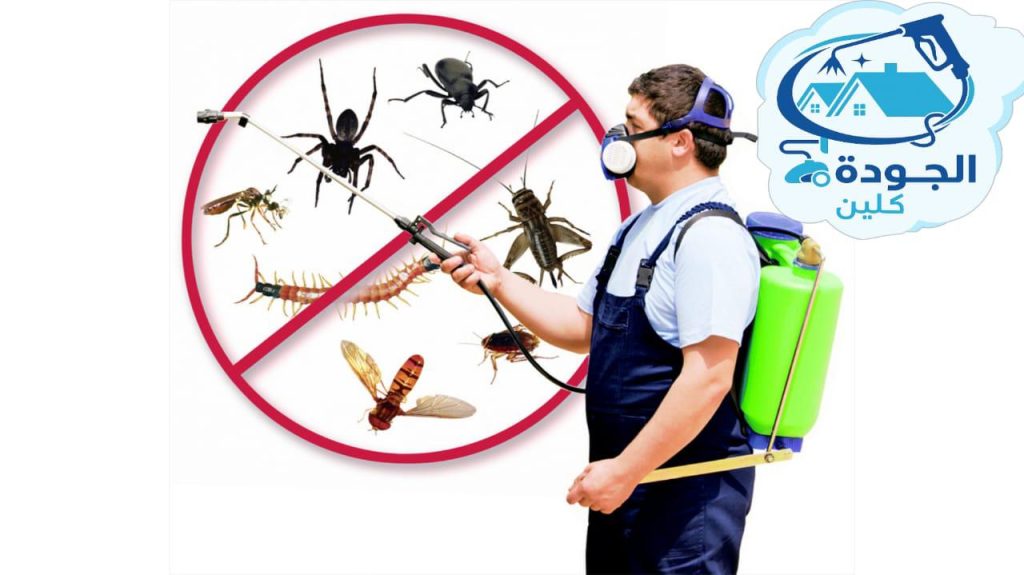 شركة مكافحة حشرات بالطائف